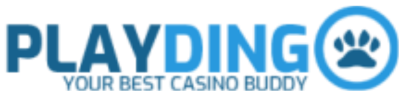 casinobernie play dingo logo